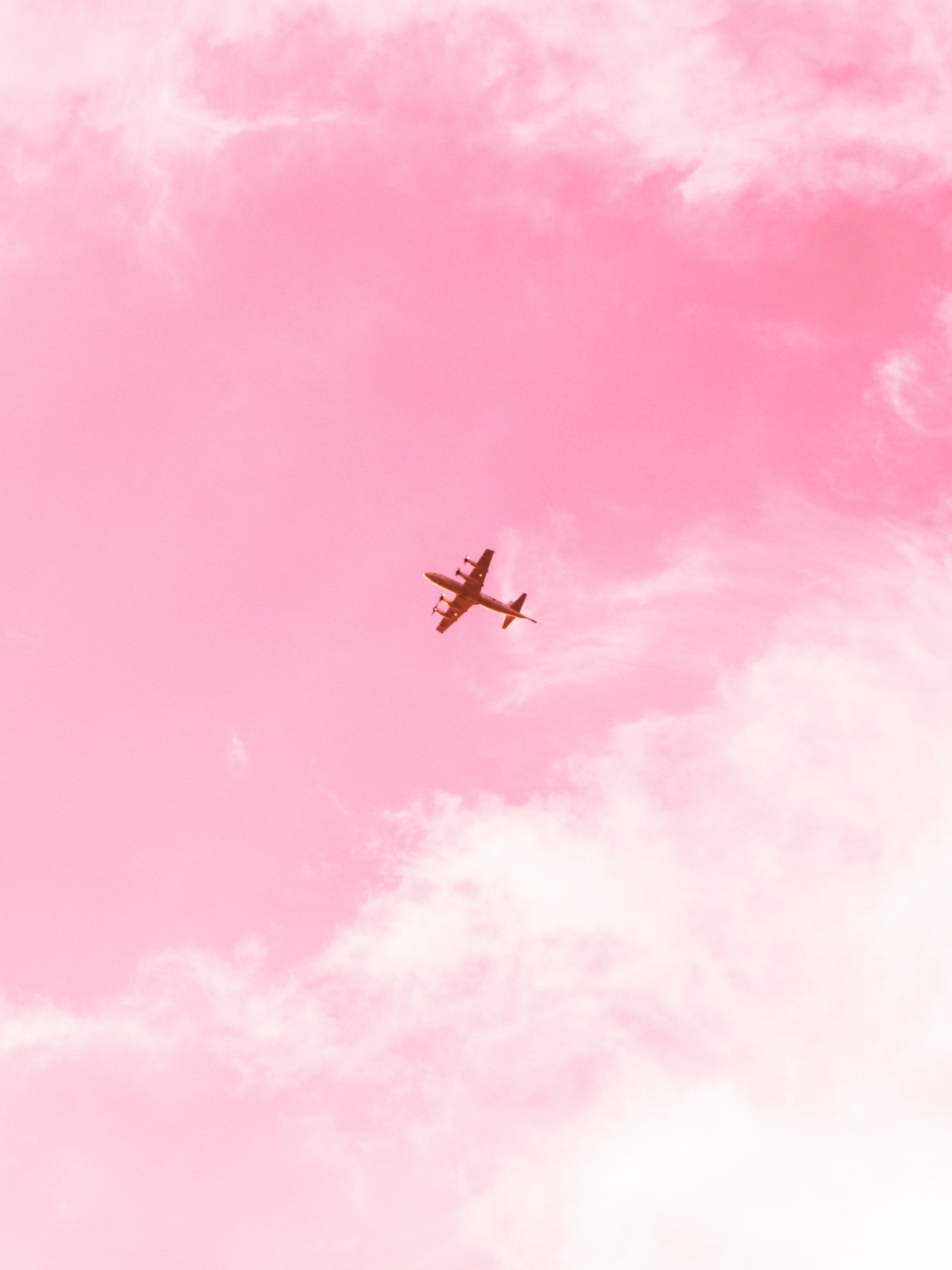 Canton Fair - Scout Fair VIP